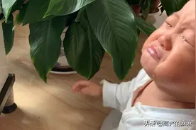 14个月的宝宝，真有一种想揍他的冲动……视频封面