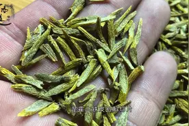 这个小作坊年产值达300多万，霍山石斛不愧是软黄金，全村人都做视频封面