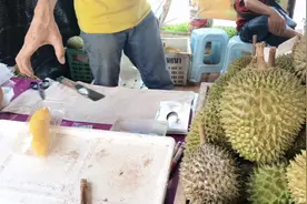 你知道马来西亚当地的猫山王榴莲，一斤到底有多贵吗？坑外地人的视频封面