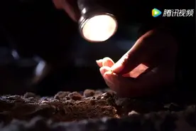 六零年   大旱闹饥荒  跟田鼠抢吃的视频封面