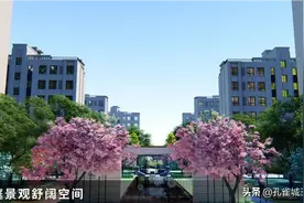 轴线对称景观 舒适宽阔空间
全龄儿童乐园 打造童趣天地
图片