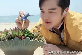 在大海边给肉肉上盆，那么可以用海沙种多肉吗？答案是不可以！视频封面