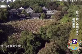 走进浙江四大藏书阁之嘉业堂 南浔小莲庄上的诗书世家视频封面