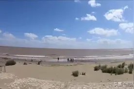 谁说上海没有“海”？踏浪吹风赶海，感受一下上海的滨海慢生活视频封面