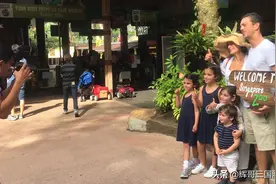 散养自由开放式的动物园，里面的动物过的比人都自在，快来看看吧视频封面