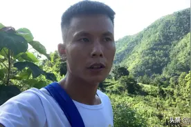 今天带大家认识一味抗肺结核，做凉茶的药。视频封面