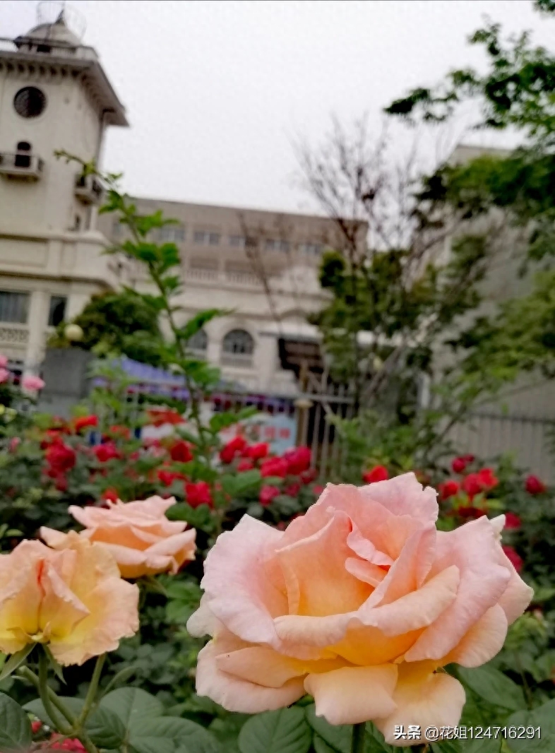 生活没有模式和框架:
别总拿别人的鞋,
试自己的脚。
