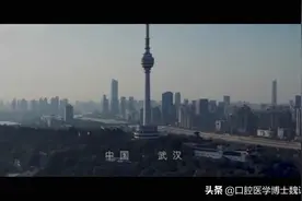 仅以此片追忆抗疫逝去的烈士和同胞，武汉疫情全记录