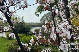 滁州高铁站旁碧桂园奥能罗马世纪城图片