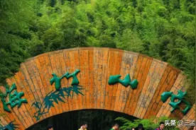 避暑圣地，江苏溧阳南山竹海：天堂南山，梦幻竹海图片