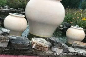 畅游保定神农采摘园图片