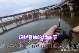 跑掉的鱼永远是最大的视频封面