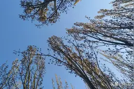 努力不辜负图片