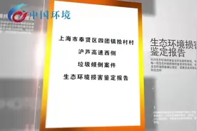 【上海奉贤区非法倾倒垃圾生态环境损害赔偿案始末】视频封面