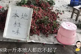 荔枝之王“桂味”，灵山原产地都卖14块一斤，梁哥感觉都吃不起了视频封面
