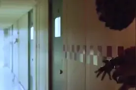 合子异种，头上密密麻麻全是眼睛，就怕这种视频封面