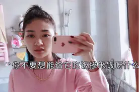狗市小妹在家喂狗 告诉你养狗小技巧