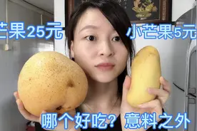 新加坡25元的大芒果和5元的小芒果，哪个好吃？结果跟想象不一样视频封面