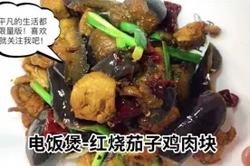 茄子和鸡胸肉搭配一起炒十里飘香，肉嫩鲜美超下饭吃一次念念不忘
