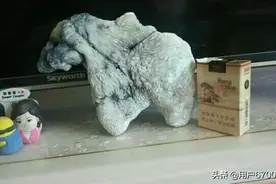 新疆哈密蛋白玉象形奇石北极熊图片
