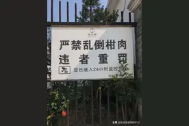 新会陈皮：要皮不要肉，数以万吨的新会柑肉遭弃，有什么好办法？图片