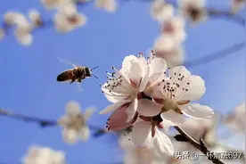 触景生情，首先会想到的是什么。图片