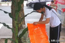 姑娘进城摆地摊卖玉米棒的故事图片