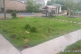 桃金娘！首选图片