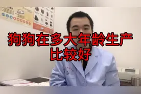 狗狗在多大年龄生产比较好