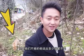 大叔山里养土狗，曾经有人出80000一条都不愿卖，它到底哪里值钱视频封面