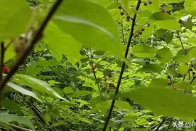这次失去我最爱的人，也让我明白生活的意义图片