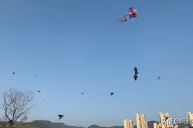 新年第一天你在哪里？福州一个人气爆棚的遛娃👶好去处！视频封面