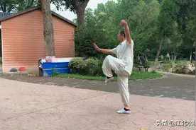 聊城公园62岁刻苦练功魏师傅，师承查拳大师蒋振海聊城第四代传人视频封面