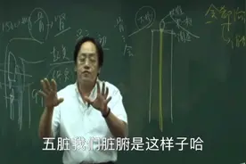 倪海厦字幕版：五脏气乱，应该怎么调理