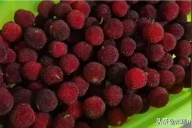 你们那里杨梅熟了吗？杨梅酒泡了吗？图片