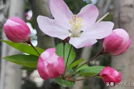 女儿和妈妈暖心的对话图片