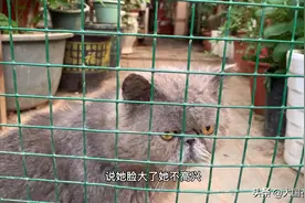 武汉东湖八一花鸟市因疫情一片破败，不少关门，感个体户民生多艰视频封面