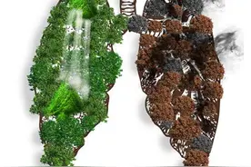肺癌不是悄无声息，当手出现下面5个症状时，说明肺已严重损伤图片