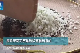 神奇！原来茉莉花茶是这样窨制出来的视频封面