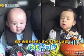 威廉第二次到澳洲，本特利第一次回故乡，在爸爸的国家看到真袋鼠视频封面
