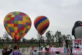 这种气球可以坐人的哦，你们旅游的时候坐过飞起来吗？图片