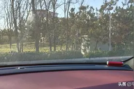 外面的阳光明媚图片