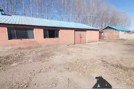 3分钟读懂猪舍的科学建造，了解猪舍建造原理图片