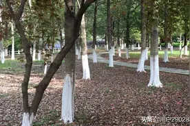 这是TA的故事图片