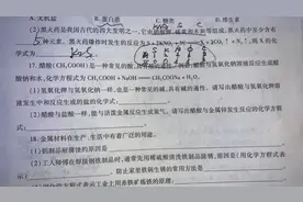 醋酸（CH 3COOH）是一种常见的酸，具有酸的通性． 
例如：醋酸与