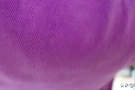 99块的小米体脂称2代值不值？请看我的开箱！视频封面