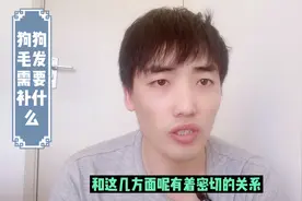 狗狗毛发干枯、稀少的原因。#科学养宠