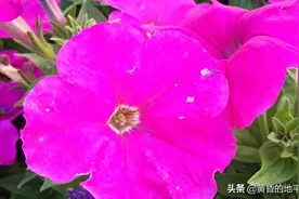 最美的小镇，清溪镇图片