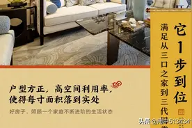 碧桂园翘楚棠115户型图片