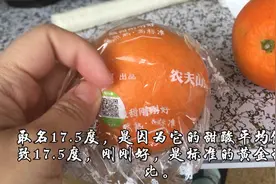 17.5度的橙子，10个赣州一级脐橙里只能选出两个，酸甜适中，好吃视频封面